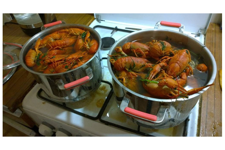 Раки живые вареные